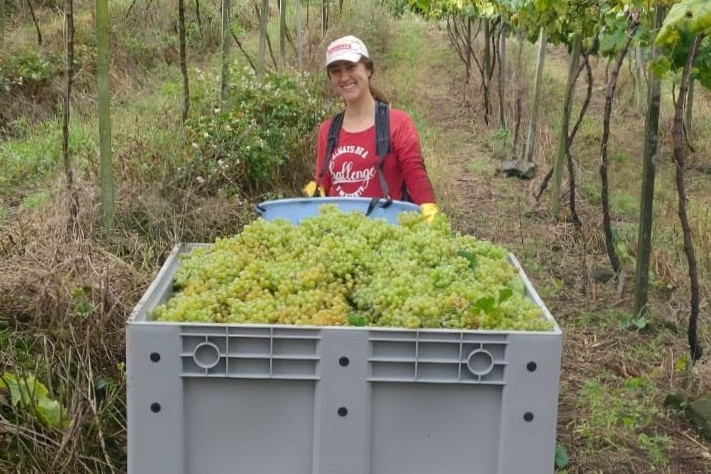 Capa - Acrilys leva soluções inovadoras em plásticos de engenharia à Tecnovitis 2025