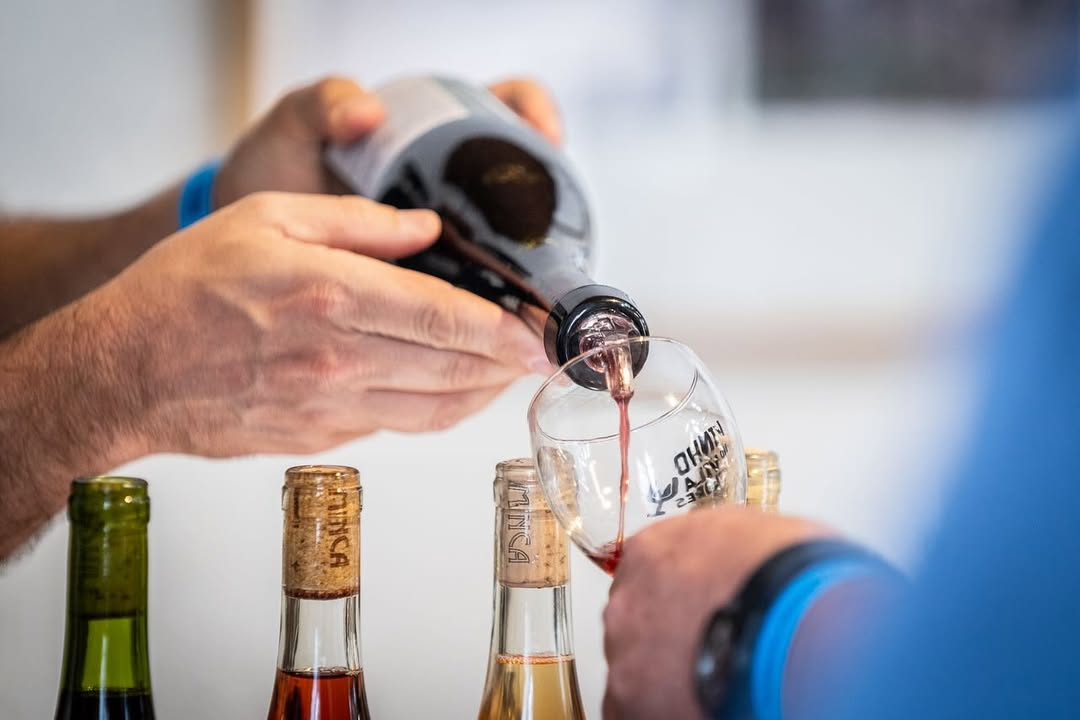 Foto: Divulgação/Vinho no Vila Flores