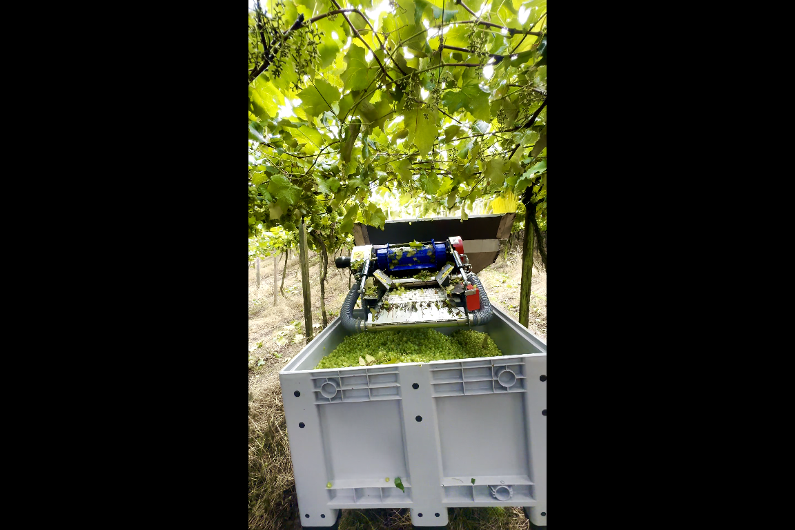 Caixa Bin Colheita Mecanizada Acrilys