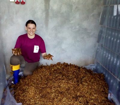 Nas duas últimas safras Fernanda Dall’Asta, enóloga à frente da Vinícola Batalha Vinhas e Vinhos, de Candiota, já reutilizou os resíduos provenientes da vinificação para a elaboração de adubo orgânico.