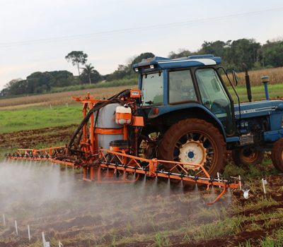 Foto: Christiane Comas