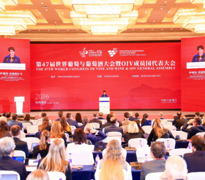 47th_World_Congress_of_Vine_and_Wine_Closing-4