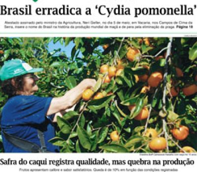 A Vindima 62 Capa
