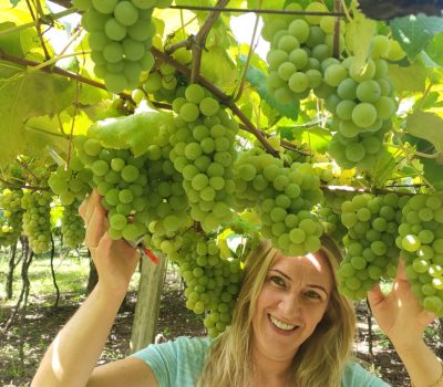 AGAVI empossa Simone Lovatel como presidente para o biênio 2026-2027 (1)