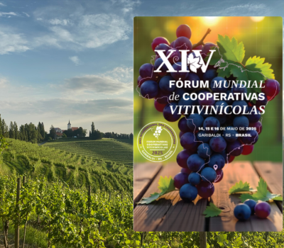 ARTIGO DE OPINIÃO (2)