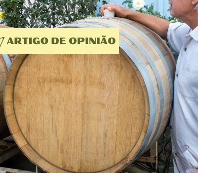 ARTIGO DE OPINIÃO (Apresentação) (5)