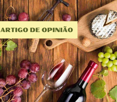 ARTIGO DE OPINIÃO