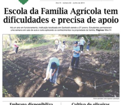 A Vindima_capa e contra.indd