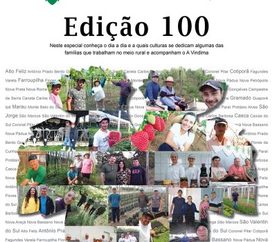 A Vindima capa ed100