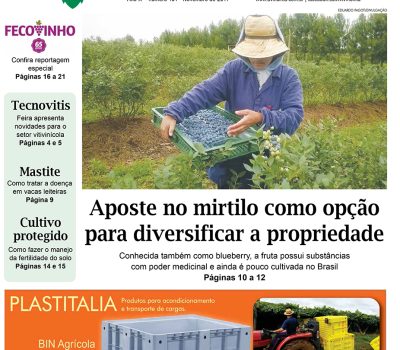 A Vindima capa ed101