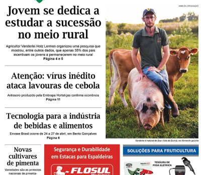 A Vindima capa ed105