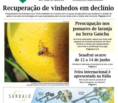 A Vindima capa ed106