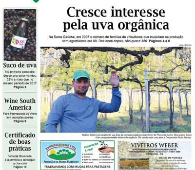 A Vindima capa ed109