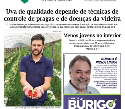 A Vindima capa ed110