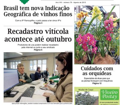 A Vindima capa ed 76