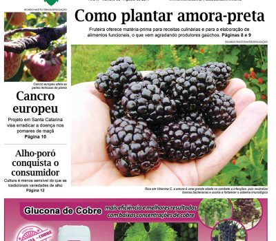 A Vindima capa ed 98