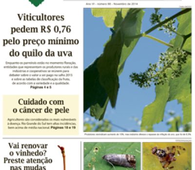 A Vindima_capa e contra.indd