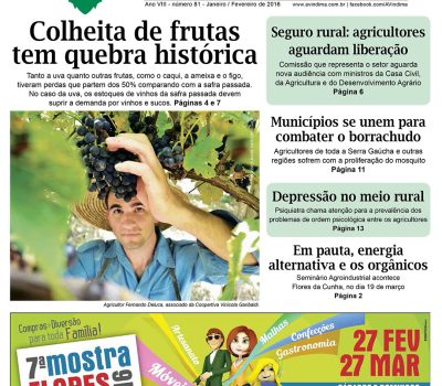 A vindima- 81 Capa-1