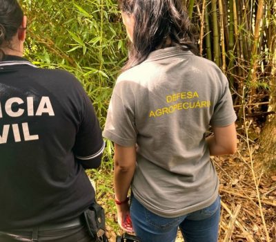 As devidas infrações foram aplicadas ao propriedade pelo uso do herbicida proibido Foto Divulgação SEAPi