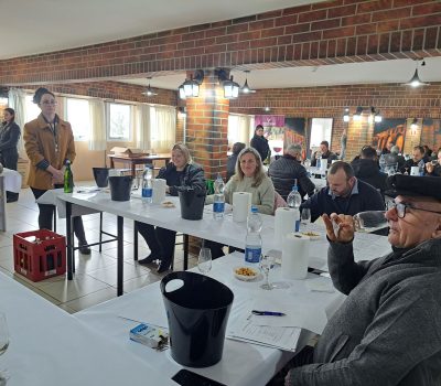 Avaliação das amostras 4