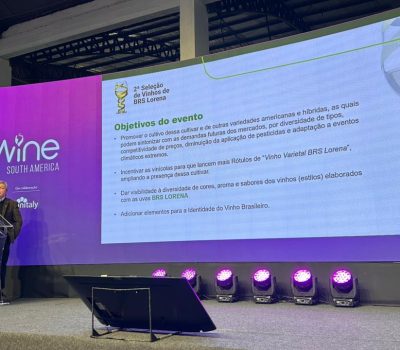 BRS Lorena ganha nova seleção e reforça aposta em vinhos brasileiros mais sustentáveis