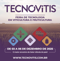 Banner---Portal-de-Notícias---400x400