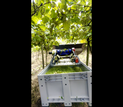 Caixa Bin Colheita Mecanizada Acrilys