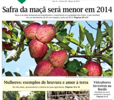 A Vindima_capa e contra.indd