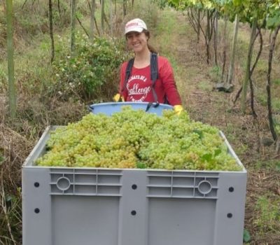 Capa - Acrilys leva soluções inovadoras em plásticos de engenharia à Tecnovitis 2025