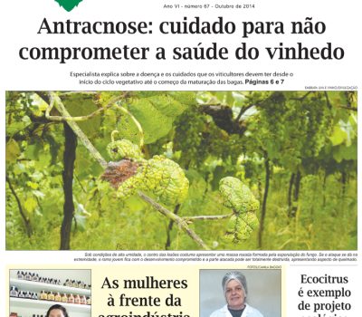 A Vindima_capa e contra.indd