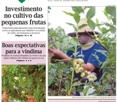 A Vindima_capa e contra.indd