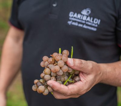 Foto: César Silvestro