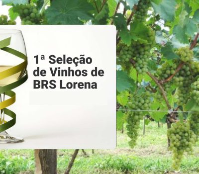 Concurso Vinhos BRS Lorena