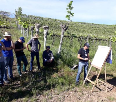 Foto: Arquivo/Divulgação