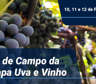 DC Embrapa Uva e Vinho 2026 - Cabeçalho