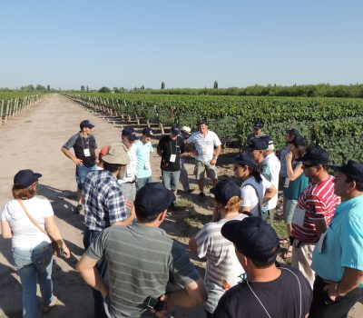 Grupo visitou parreirais na região produtora de Mendoza