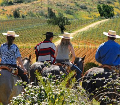 Enoturismo no Chile cresce