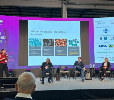 Especialistas e produtores discutiram como a microbiota nativa pode agregar tipicidade, valor e inovação à vitivinicultura nacional (2)