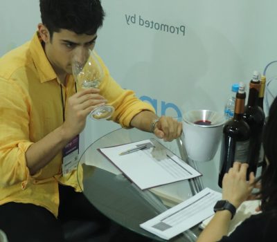 Exporta Mais Vinhos conecta vinícolas brasileiras a compradores internacionais durante WSA 2026