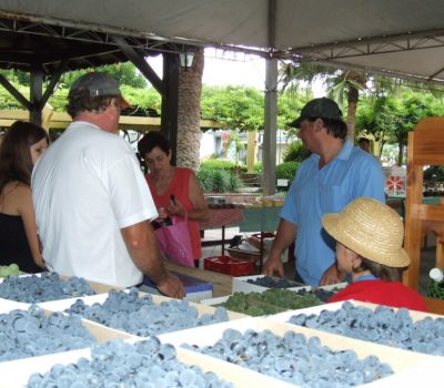Edição de 2014 da Festa do Vinho Doce. (Foto: Arquivo Assessoria de Imprensa de Veranópolis)