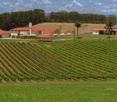 Foto: Divulgação/Anprovin