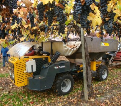 Colheitadeira mecanizada pode ser utilizada nos parreirais em sistema latado.