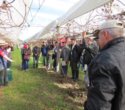 Foto: Rejane Paludo/Emater/RS