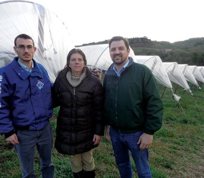 O gerente comercial Giovani Mascarello e o gerente industrial Roberto Paganella Neto, da Plastiline, ao lado da cliente Rosangela Pagno e dos vinhedos protegidos pelas coberturas plásticas na capela Nossa Senhora do Carmo, interior de Flores da Cunha.