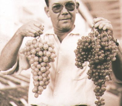 Julio Seagra Inglez de Sousa