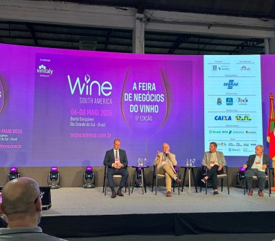 Mercado brasileiro de vinhos movimentou R$ 19 bi, mas enfrenta desafios de crescimento e consumo (1)