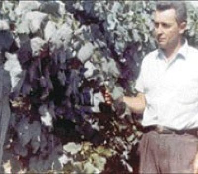Onofre Pimentel