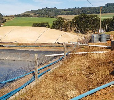 Biodigestor utiliza dejetos de suínos para a geração de biogás.