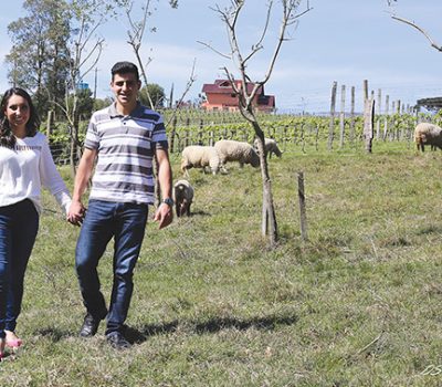 Giulia Trucolo Martinelli e Adílio de Oliveira se conheceram na vindima de 2014 e nunca mais colheram uvas sozinhos