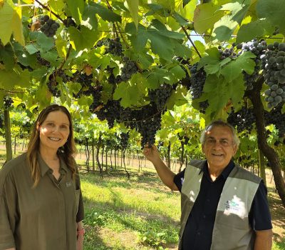 Patrícia Ritsche e João Dimas Garcia Maia